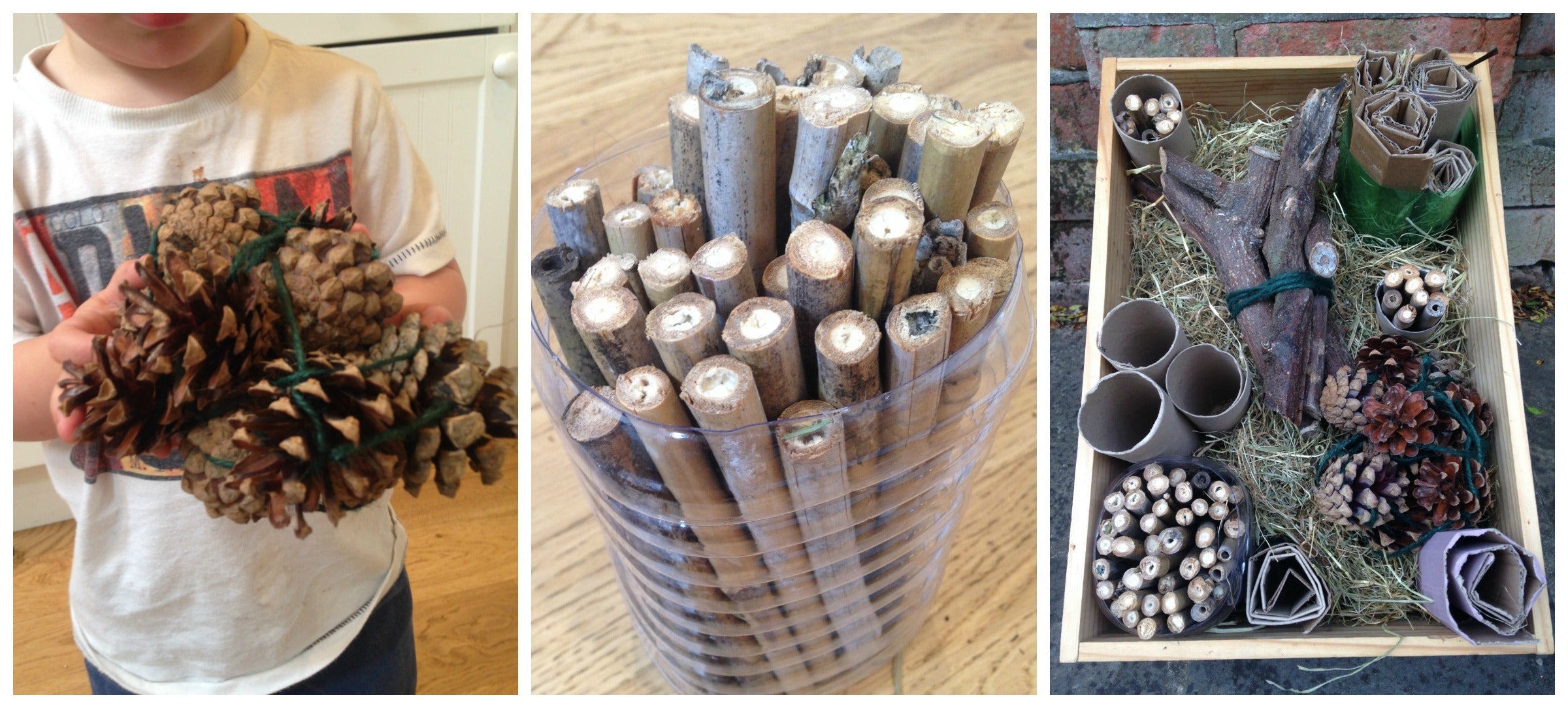 Little Explorers: Bug Hotels
