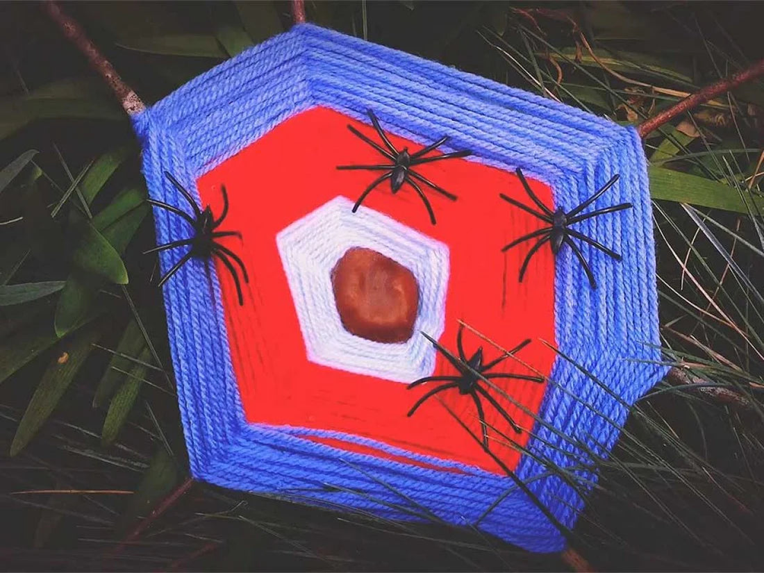 Little Explorers: Woolly Webs