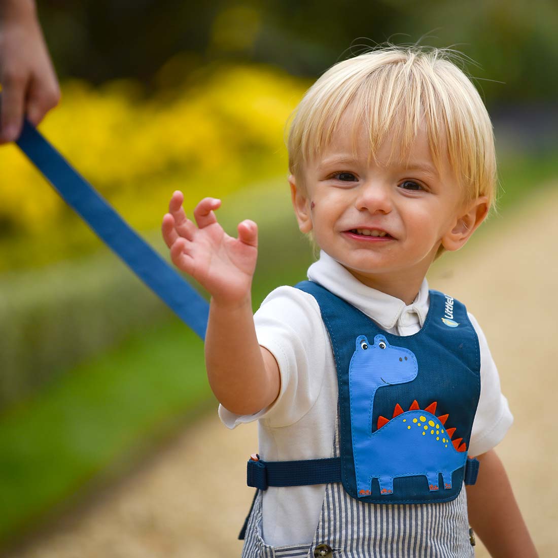 Dinosaur Toddler Reins