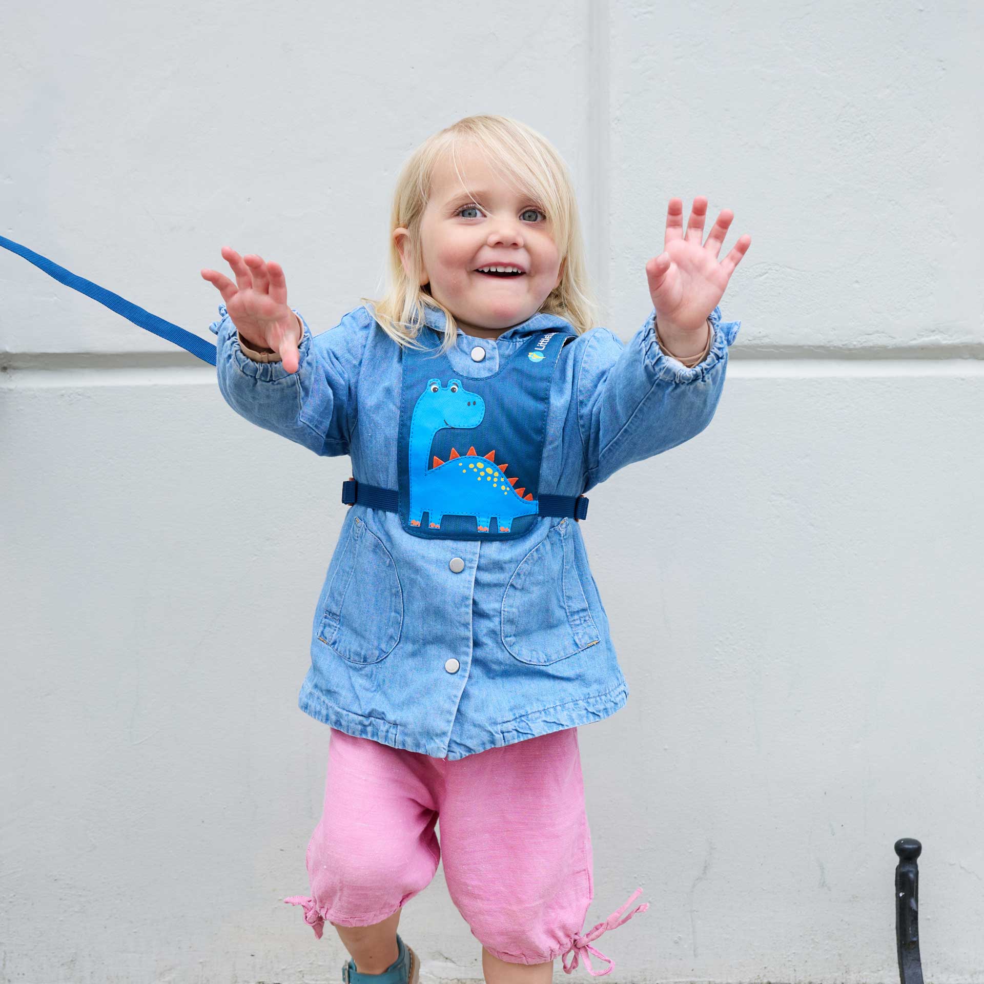 Dinosaur Toddler Reins