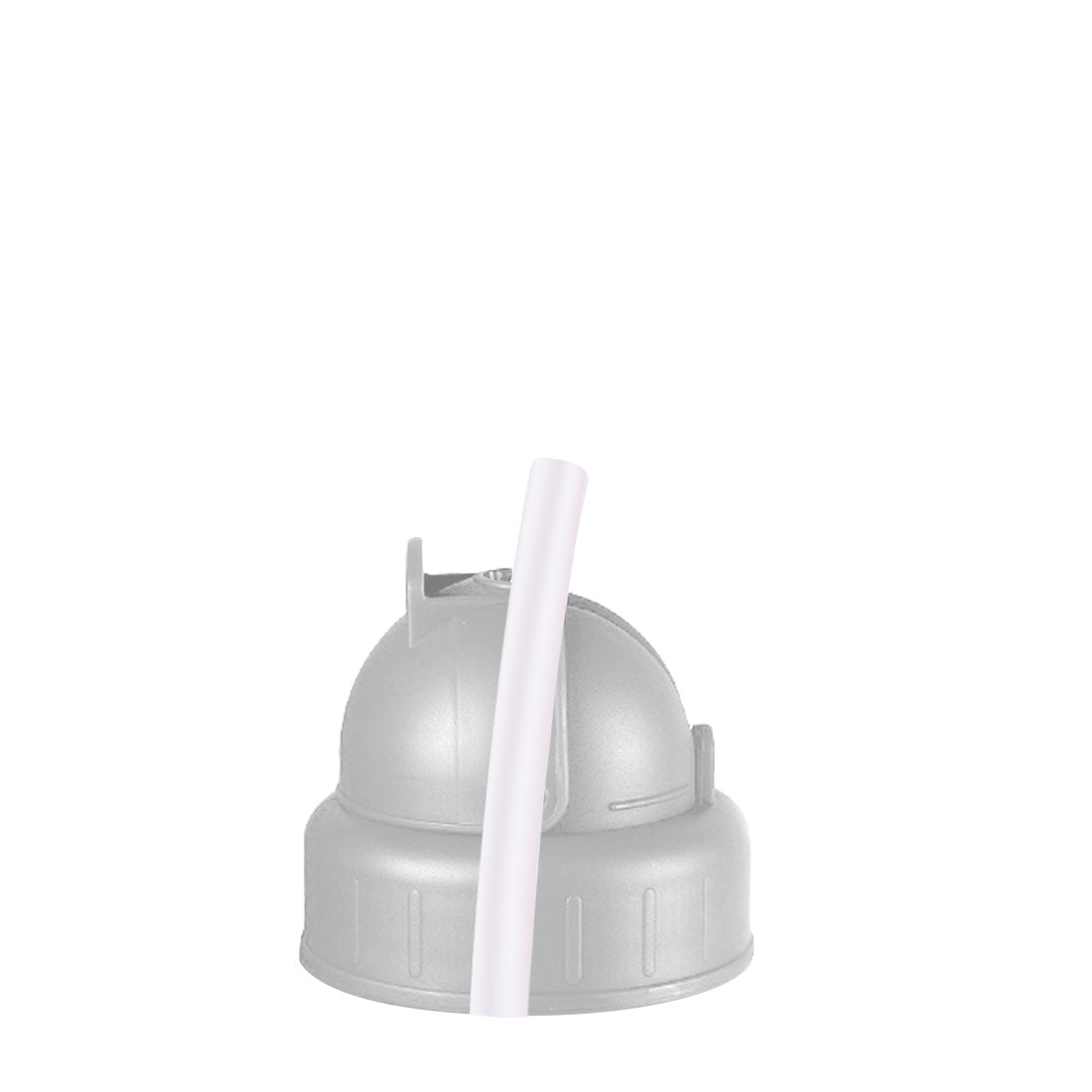 Water Bottle Spare Straw