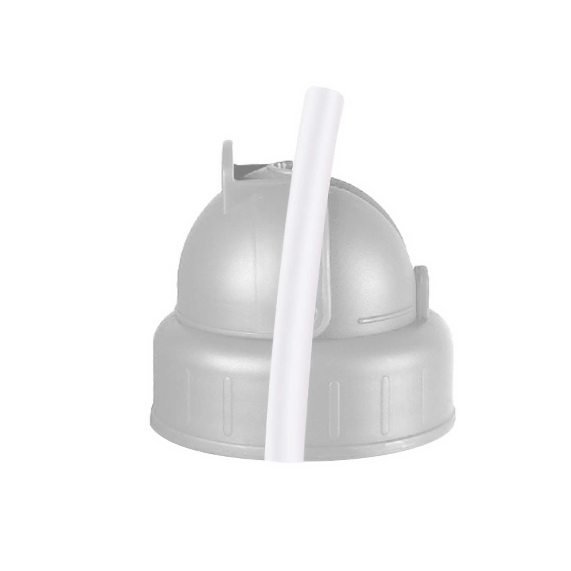Water Bottle Spare Straw