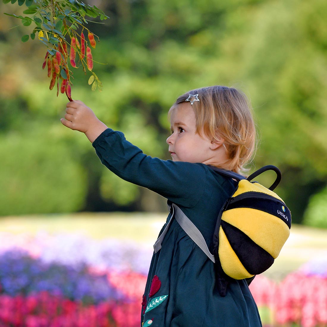 Bee Toddler Backpack with Rein