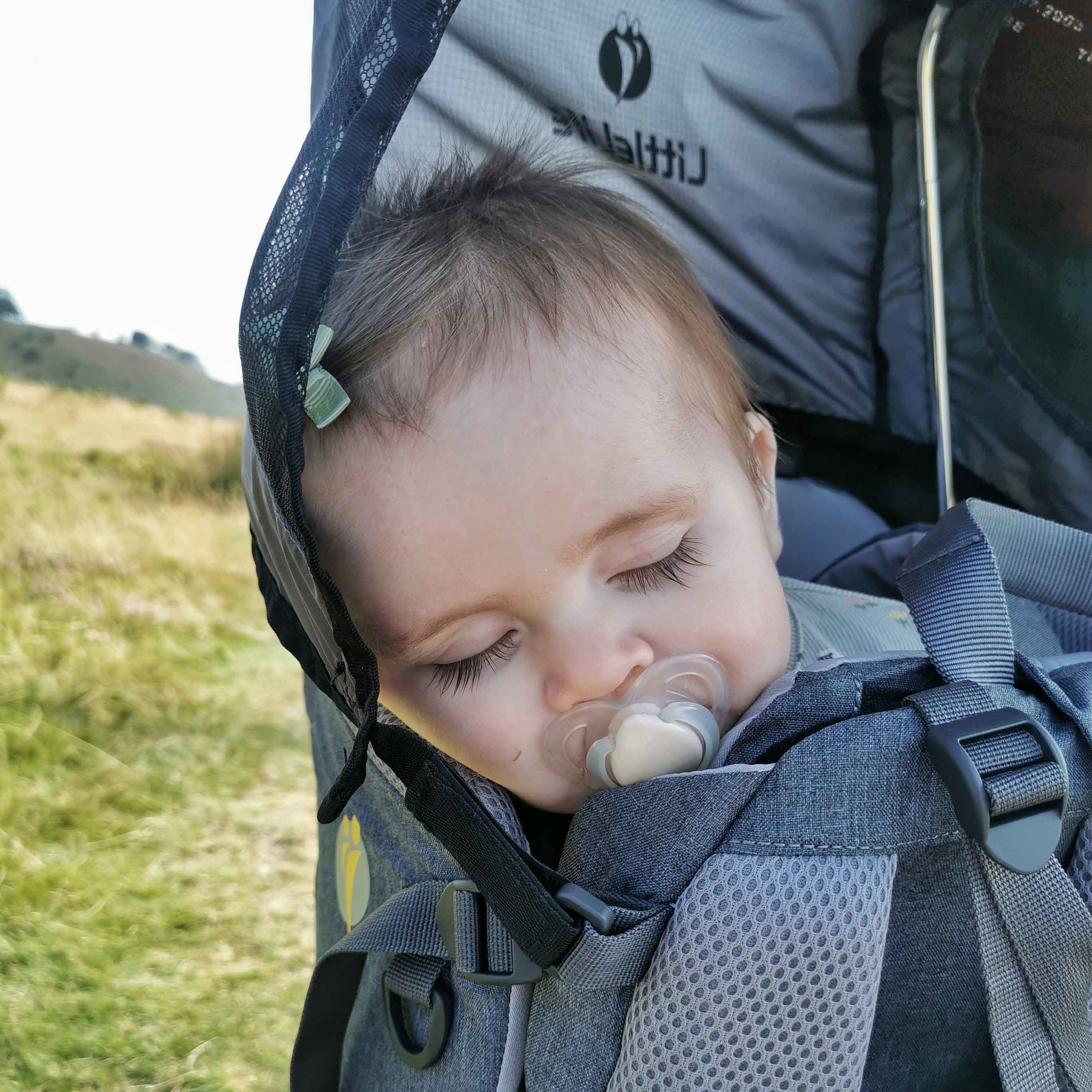 Pathseeker Child Carrier