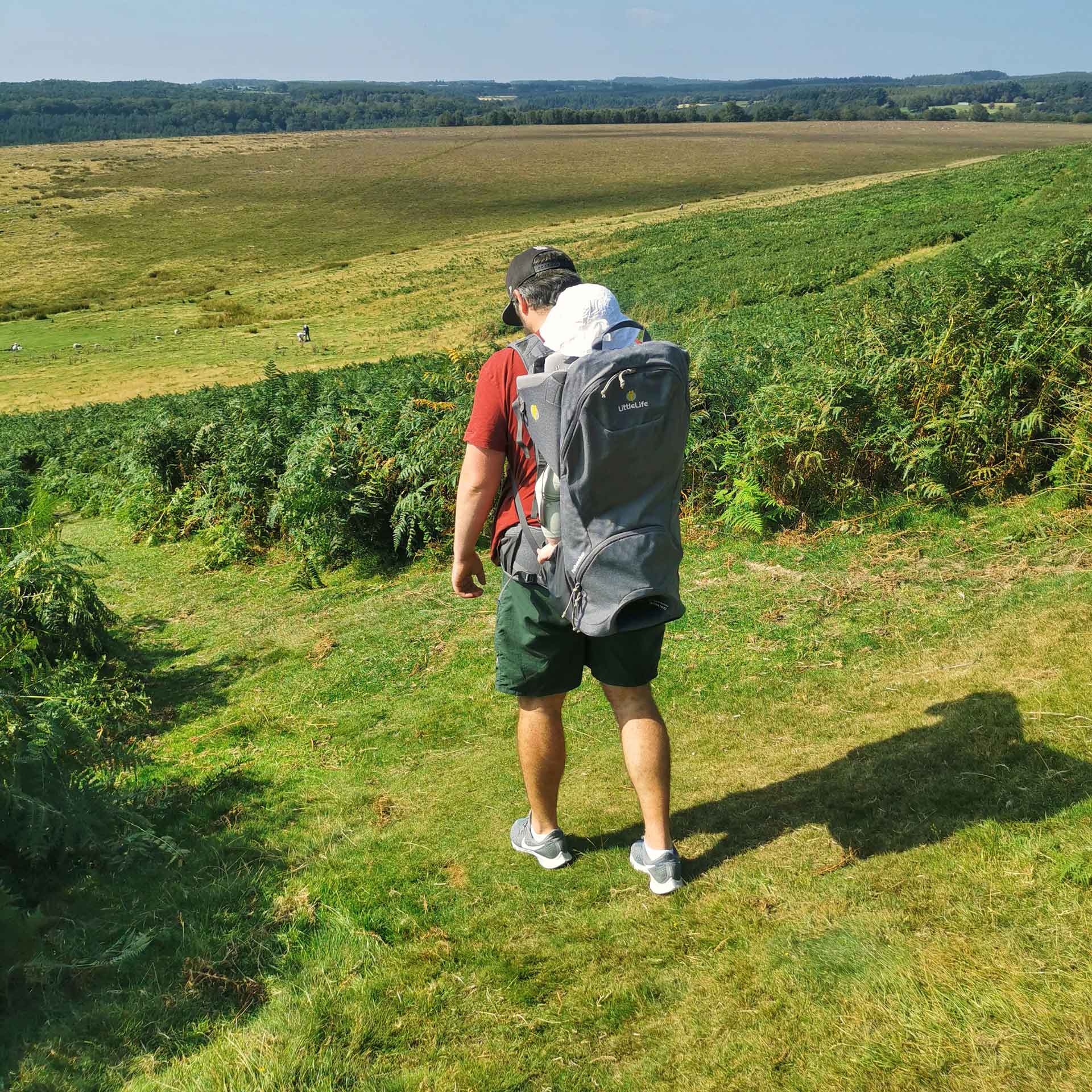 Pathseeker Child Carrier
