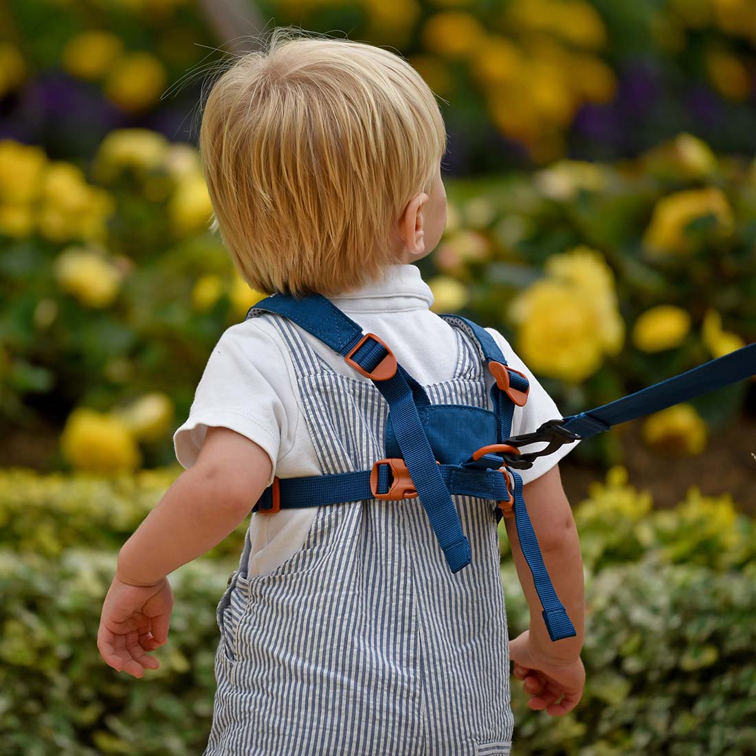 Dinosaur Toddler Reins